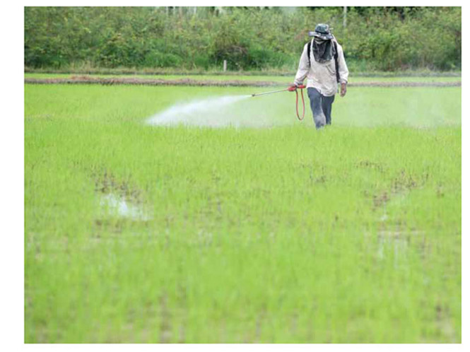 Image of worker spraying pesticdes in a marsh